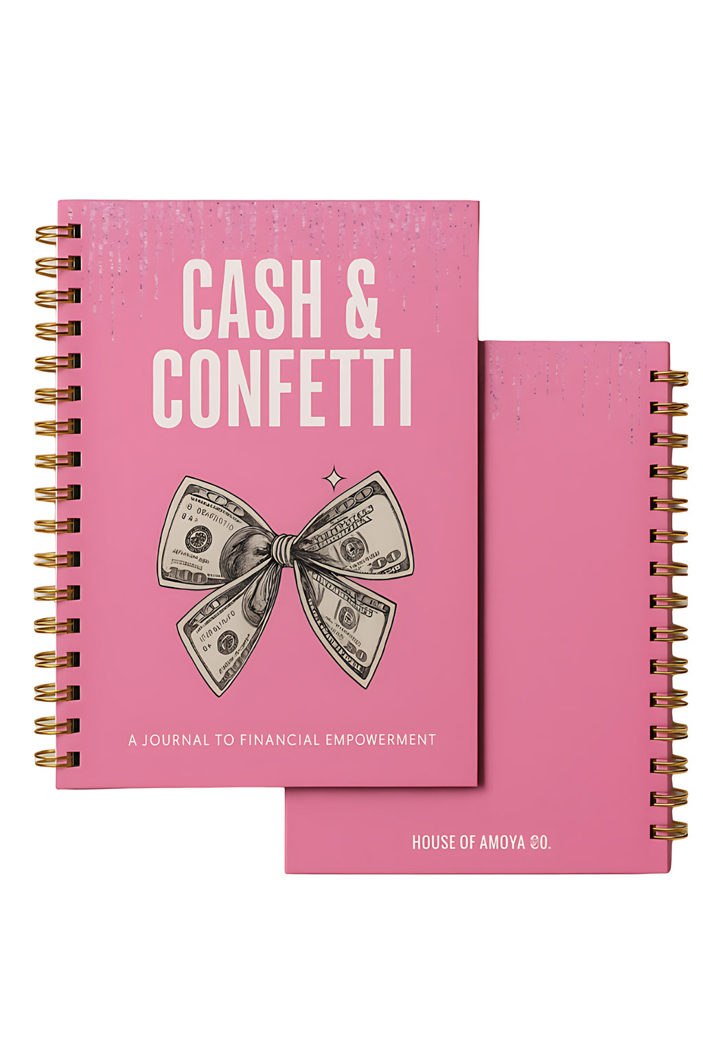 Cash & Confetti: A Journal To Financial Empowerment Hard Copy